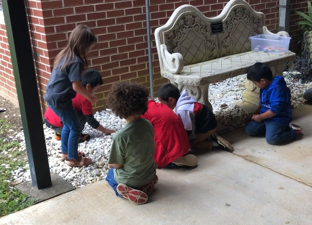 students placing rocks they painted