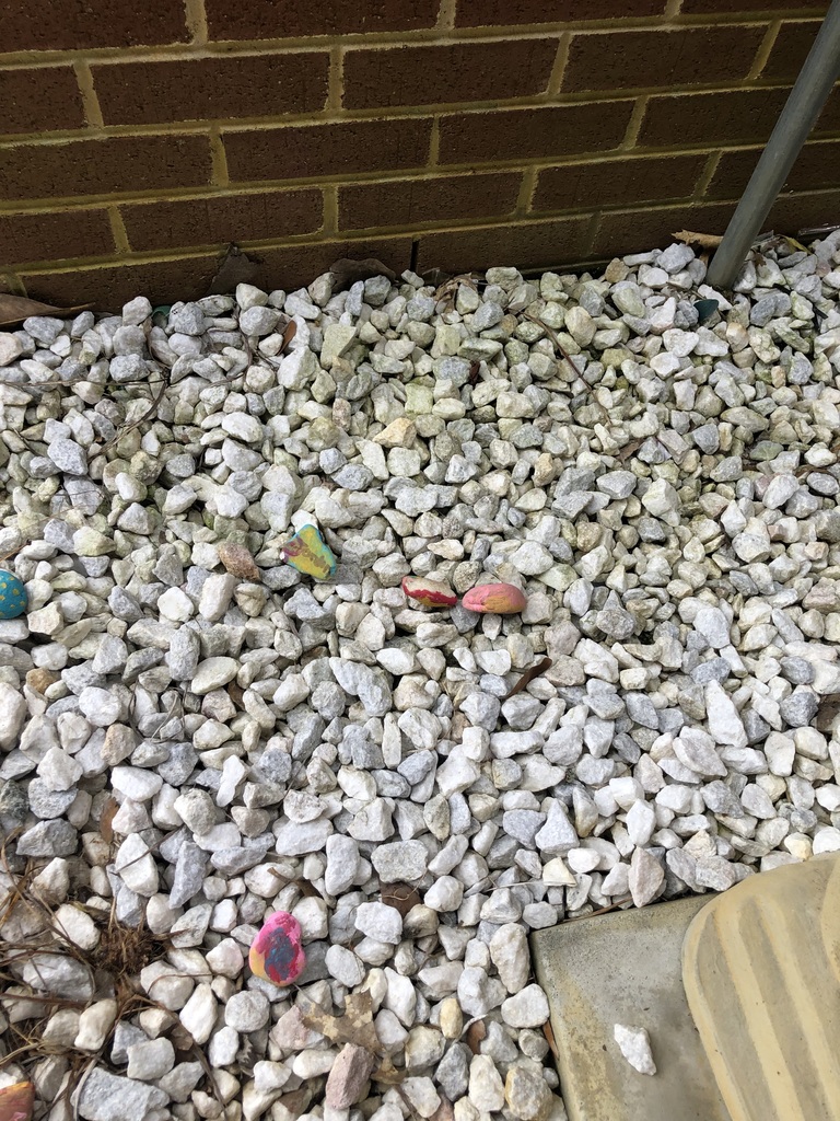 painted rocks in the front of the school