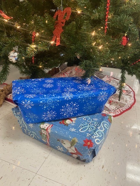 Christmas presents under tree